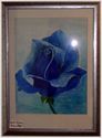 Blue Rose