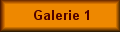 Galerie 1
